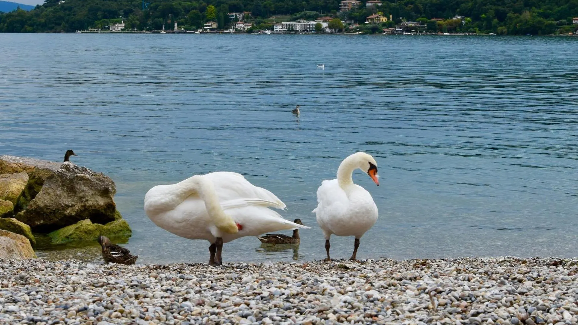 Villa Donne Del Lago Ele Salo 0*,  Italy